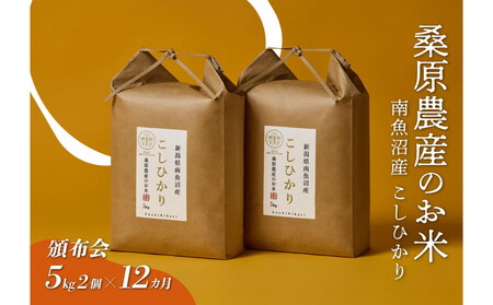 【令和7年度】【頒布会】日本のお米の最高峰　山間地米　南魚沼産コシヒカリ5kg×2　　12カ月