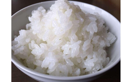 【令和7年度】【頒布会】日本のお米の最高峰　山間地米　南魚沼産コシヒカリ5kg×2　　12カ月