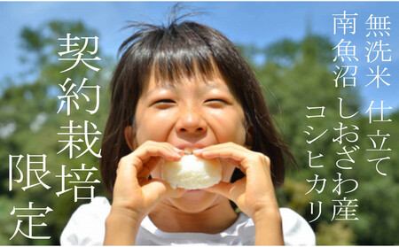 【令和7年産 無洗米5Kg】南魚沼しおざわ産コシヒカリ