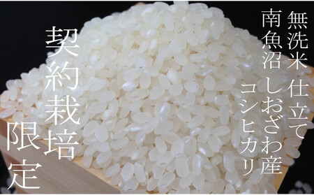 【令和7年産 無洗米5Kg】南魚沼しおざわ産コシヒカリ
