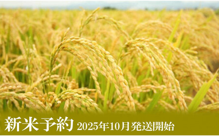【新米予約・令和7年産】定期便12ヶ月【無洗米】2kg南魚沼しおざわ産コシヒカリ【2025年10月上旬より順次発送予定】