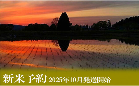 【新米予約・令和7年産】定期便12ヶ月【無洗米】2kg南魚沼しおざわ産コシヒカリ【2025年10月上旬より順次発送予定】