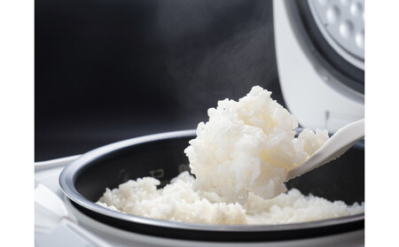 米粉の最高峰　品質・性能で選ぶなら「うおぬま小町」玄米全粒粉（南魚沼産コシヒカリ）1kg 10セット