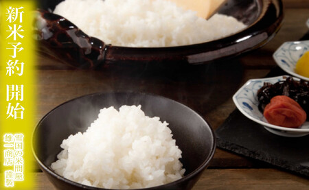 【新米予約・令和7年産】定期便★12ヶ月【無洗米】2kg南魚沼しおざわ産コシヒカリ