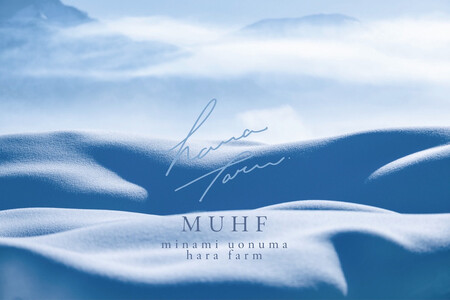 【令和7年産 新米】南魚沼塩沢産コシヒカリ＜yusui＞5kg　白米