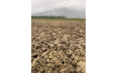 【令和7年産 新米】南魚沼塩沢産コシヒカリ＜yusui＞5kg　白米