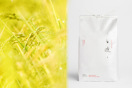 【令和7年産】南魚沼君沢産こしひかり 白燦々5kg（BL品種）