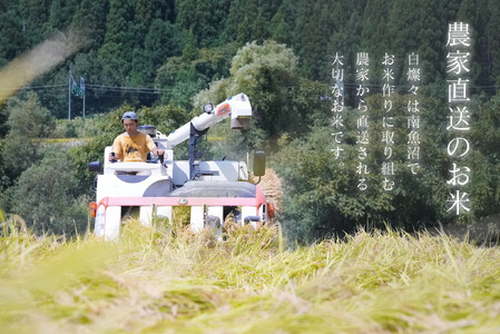 【令和7年産新米】南魚沼君沢産こしひかり 白燦々10kg（BL品種）