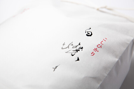 【令和7年産新米】南魚沼君沢産こしひかり 白燦々10kg（BL品種）