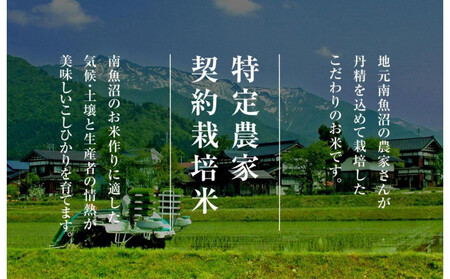 【令和7年産】契約栽培　南魚沼産新之助6kg