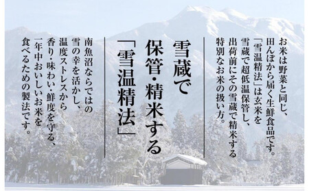 【令和7年産】契約栽培　南魚沼産新之助6kg
