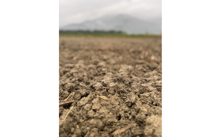 【全3回】【令和7年産】南魚沼塩沢産コシヒカリ<yusui>5kg×3ヶ月 白米