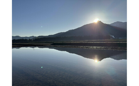 【全3回】【令和7年産】南魚沼塩沢産コシヒカリ<yusui>5kg×3ヶ月 白米