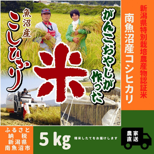 【令和７年産】特別栽培米　がんこおやじが作った南魚沼産コシヒカリ 白米5kg