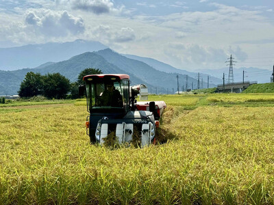 【令和7年産】南魚沼産コシヒカリ 白米5kg