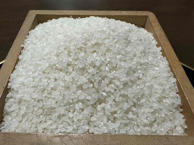 【令和7年産】南魚沼産コシヒカリ 白米5kg