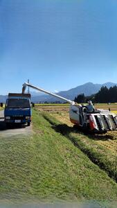 【令和7年新米】魚沼産しおざわコシヒカリ玄米10kg