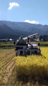 【令和7年新米】魚沼産しおざわコシヒカリ玄米30kg