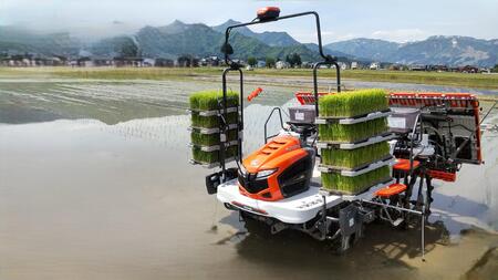 【令和7年新米】新潟県認証特別栽培米魚沼産しおざわコシヒカリ玄米10kg