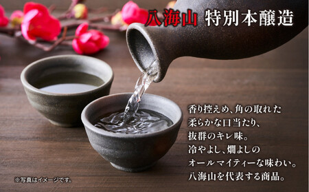 【ふるなびWEEK対象】1本は店主のお任せ 南魚沼産酒ガチャ2本セット 梅コース 【八海山特別本醸造+お楽しみ】 FN-Limited-PR