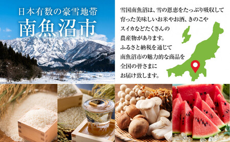【ふるなびWEEK対象】1本は店主のお任せ 南魚沼産酒ガチャ2本セット 梅コース 【八海山特別本醸造+お楽しみ】 FN-Limited-PR