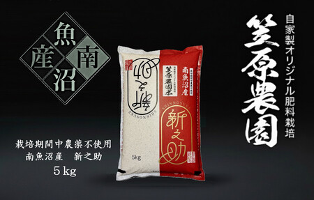 【令和７年産】南魚沼産 笠原農園米 栽培期間中農薬不使用 新之助 5kg