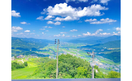 新潟県南魚沼産にじのきらめき 2kg 大粒・コシヒカリに負けない美味しさ!