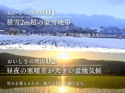 【守りたい日本有数の味】南魚沼「旧塩沢地区」限定 コシヒカリ 5kg 白米