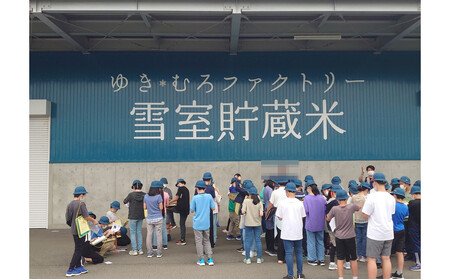 雪室貯蔵米 コシヒカリ、ミルキークィーン、新之助 食べ比べ