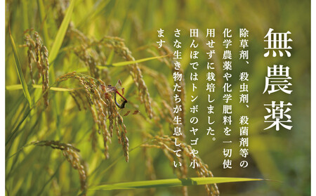 【頒布会】関智晴がつくる最高級 無農薬栽培米5kg×全3回 南魚沼産コシヒカリ