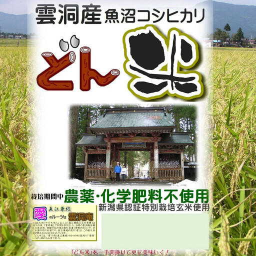 【頒布会】南魚沼産「どん米」白米真空パック4kg×１０ヶ月　ちょっと！うるさいよ！炊き方