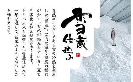 雪蔵氷温米 南魚沼産こしひかり2kg【高島屋選定品】