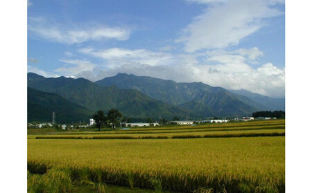 雪蔵氷温米 南魚沼産こしひかり2kg【高島屋選定品】