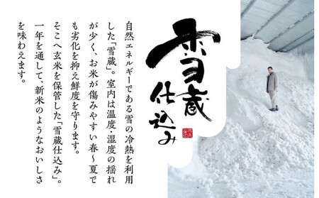 【定期便３回】（毎月下旬お届け）雪蔵氷温米 南魚沼産こしひかり２ｋｇ【高島屋選定品】