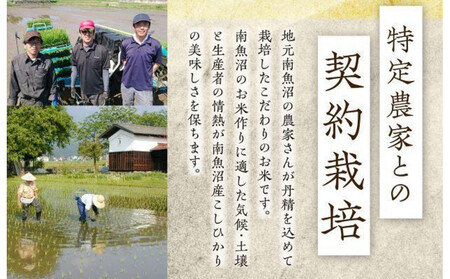 【定期便３回】（毎月下旬お届け）雪蔵氷温米 南魚沼産こしひかり２ｋｇ【高島屋選定品】