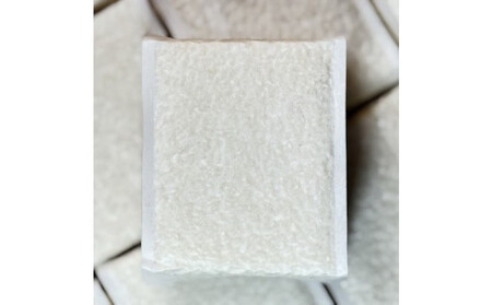 【令和７年産】南魚沼産 笠原農園米 ゆうだい２１　３合真空パック２０個 【簡易包装】