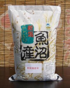 【令和７年産】特別栽培米　がんこおやじが作った南魚沼産コシヒカリ 白米３kg