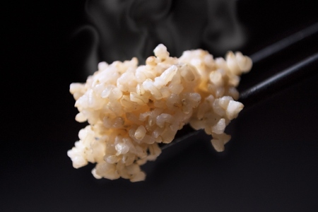 【令和7年産】【玄米】自然農法/化学肥料不使用の南魚沼産こしひかり2kg