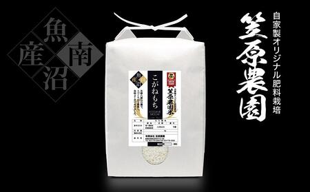 【令和6年産新米】南魚沼産 笠原農園米 こがねもち 5kg