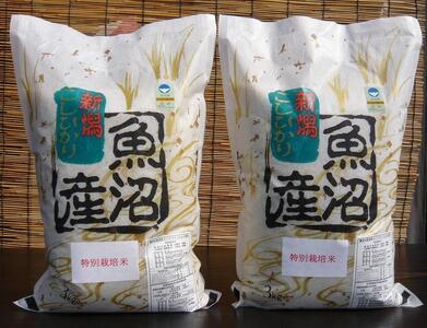 【令和７年産】特別栽培米　がんこおやじが作った南魚沼産コシヒカリ 白米６kg（３kg×２袋）