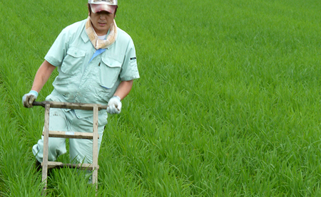 特別栽培米「極上南魚沼産コシヒカリ」（有機肥料、8割減農薬栽培）精米5ｋｇ