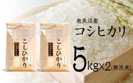 無洗米「コシヒカリ」10kg