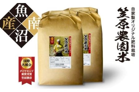 南魚沼産笠原農園米 コシヒカリ玄米 10kg