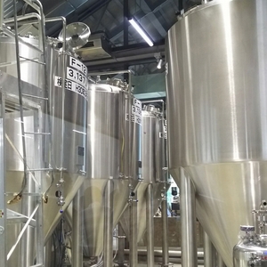 八海山 RYDEEN BEER ライディーンビール ＩＰＡ 330ml×12本