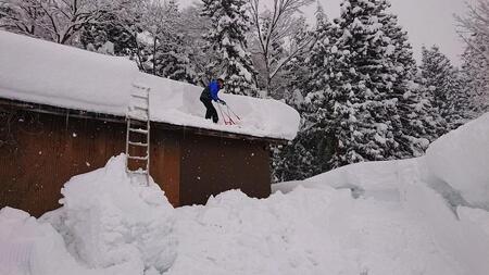 【令和7年産 新米】南魚沼産コシヒカリ10kg 井口農場こだわりの 特別栽培米