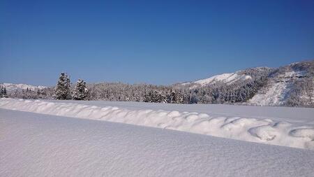 【令和7年産 新米】南魚沼産コシヒカリ10kg 井口農場こだわりの 特別栽培米