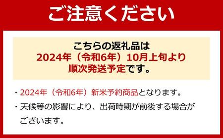 【令和6年産 新米】【高級】南魚沼産こしひかり５ｋｇ×４袋（白米）【米 お米 こしひかり 南魚沼 米 玄米 白米 無洗米 こめ 新潟 米】