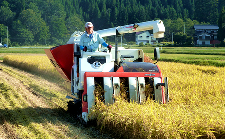 【令和7年産】【定期便】魚沼プレミアム（有機肥料、農薬不使用）「匠が作るこだわり米」玄米10ｋｇ×全3回