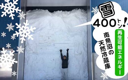 【頒布会5kg×全12回】雪室貯蔵・塩沢産コシヒカリ　生産者限定
