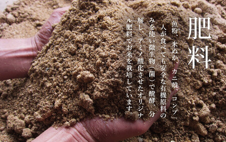 【頒布会】関智晴がつくる最高級 無農薬栽培米10kg(5kg×2個)×全6回 南魚沼産コシヒカリ